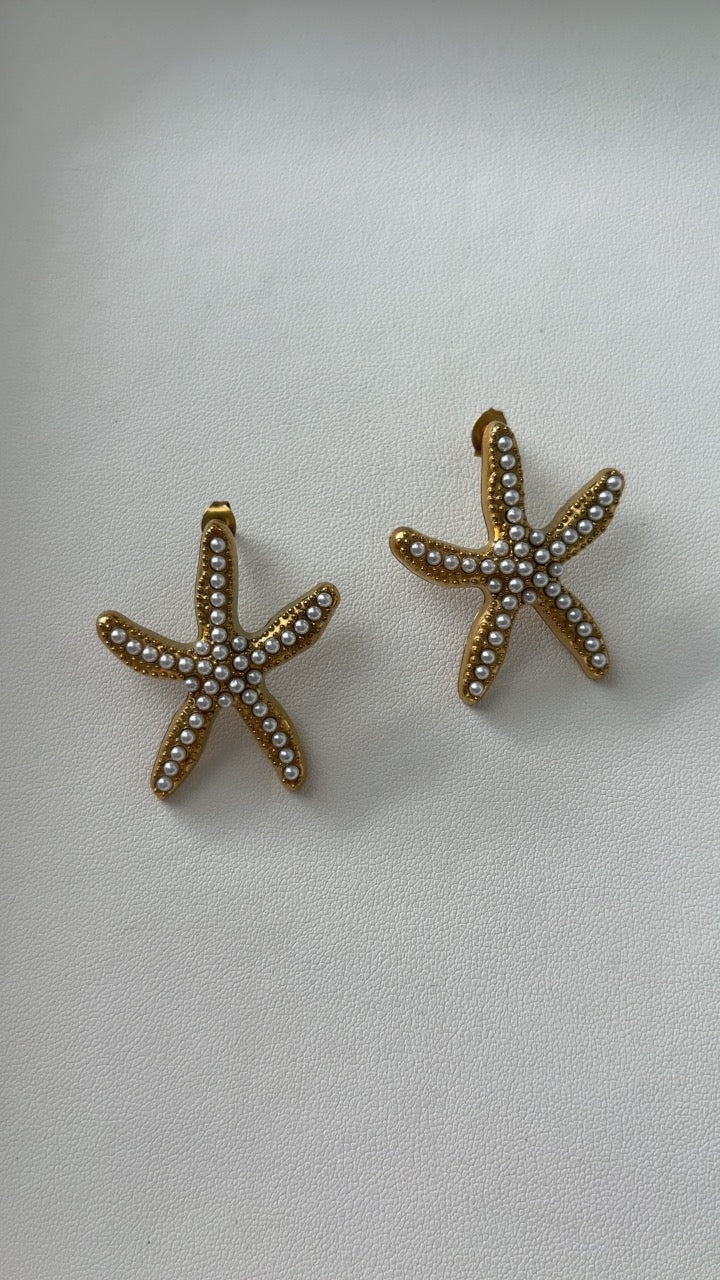 Estrella de Mar