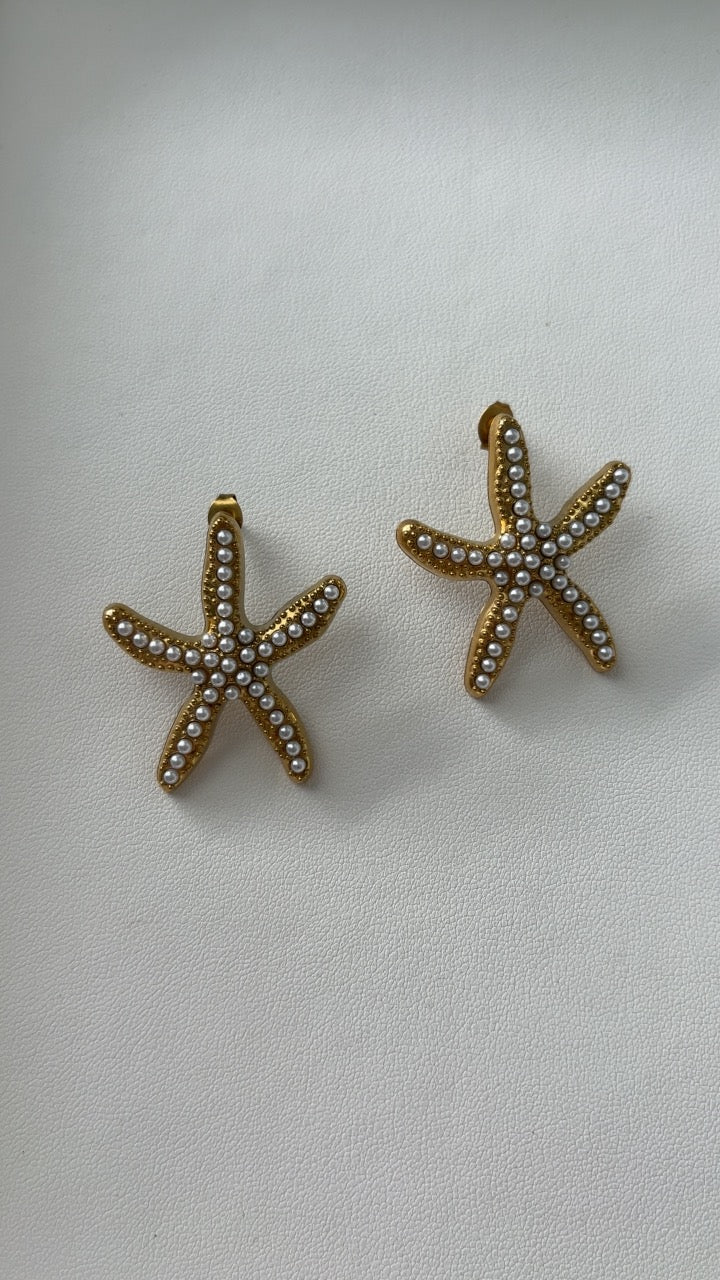 Estrella de Mar