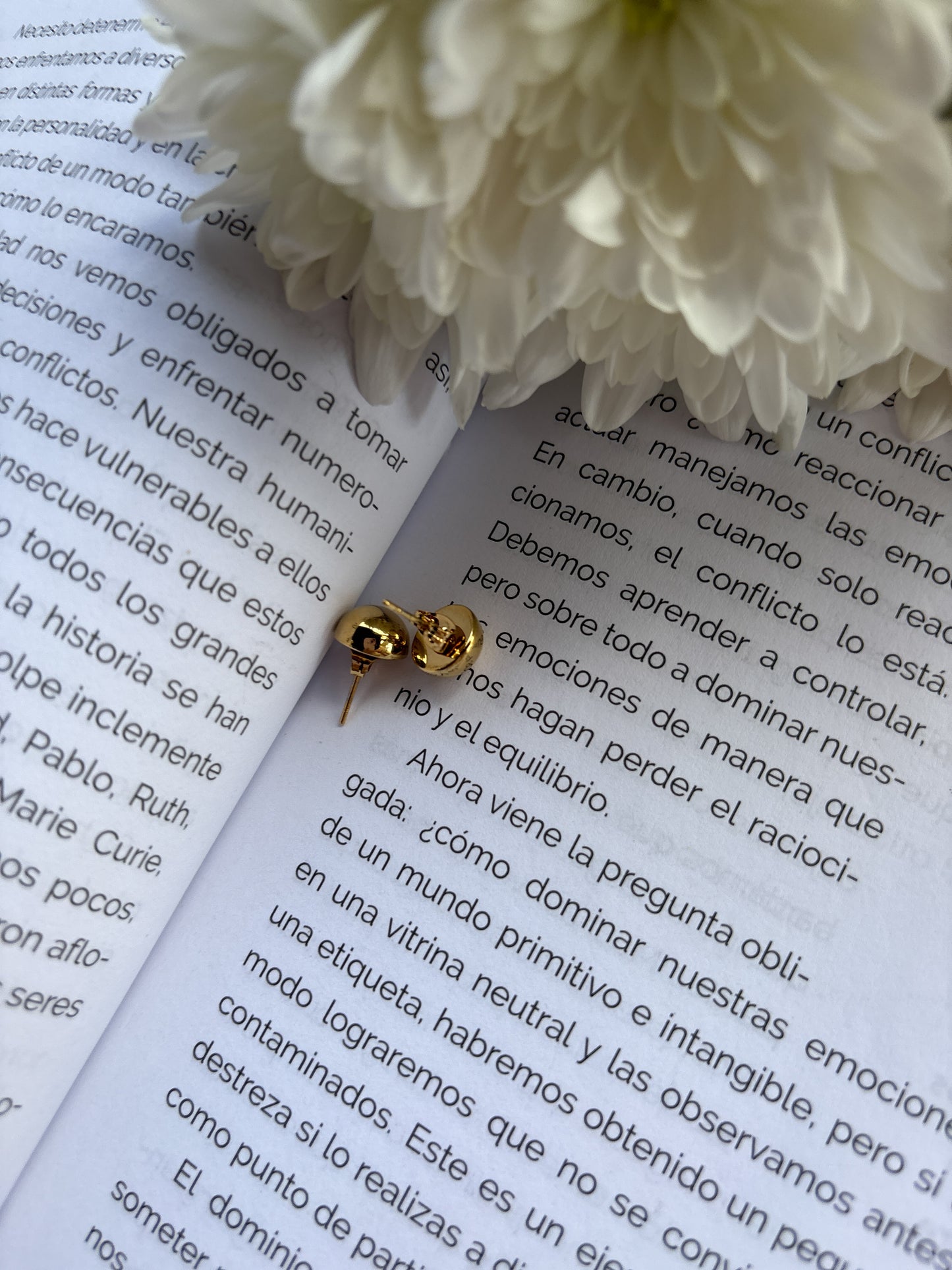Ari Earrings