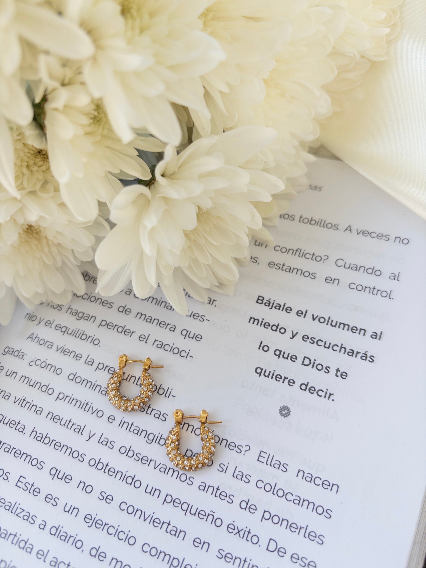 Rafaela Earrings