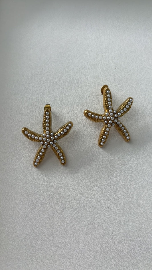 Estrella de Mar