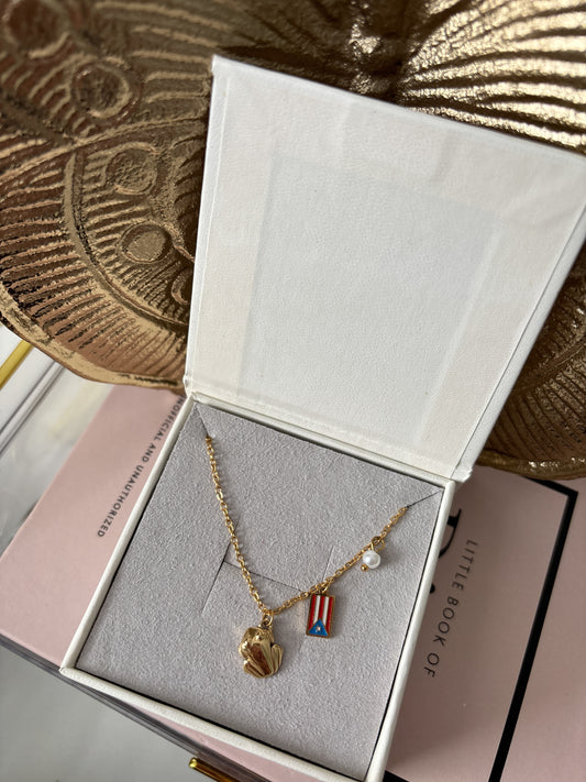 Coqui chain