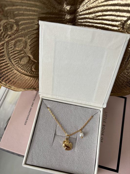 Coqui Chain